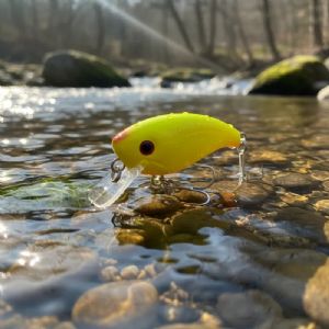 Isca Artificial Lukcy By Nelson Nakamura Xodó 45- 4,5cm / 8g Cor 208